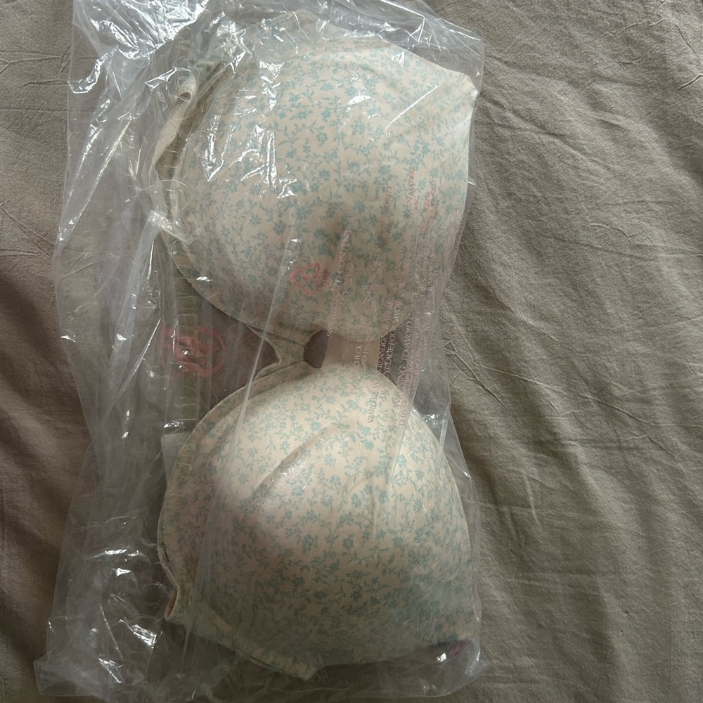 NWT Victoria's Secret Cream and Blue Floral Bra